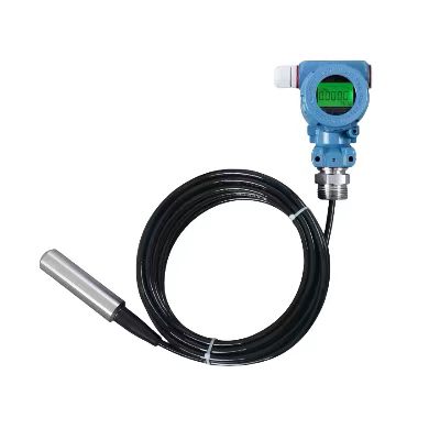 611A-PCM260 投入式液位變送器 顯示款
